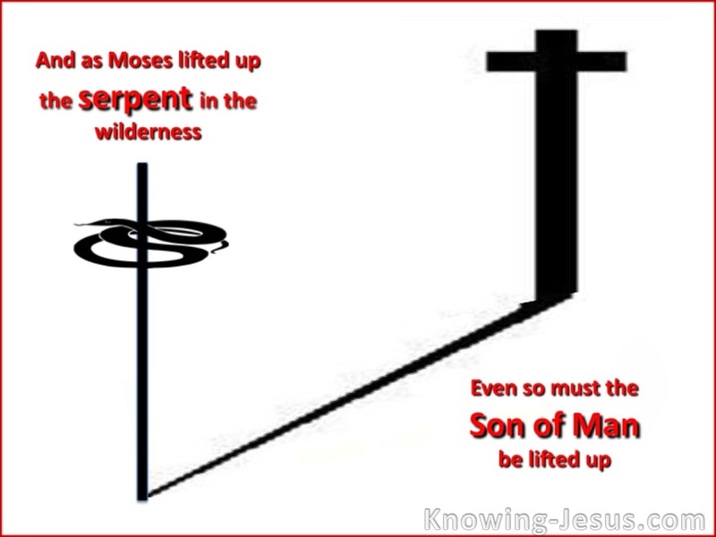 John 3:14 The Son Of Man Must Be Lifted Up (white)